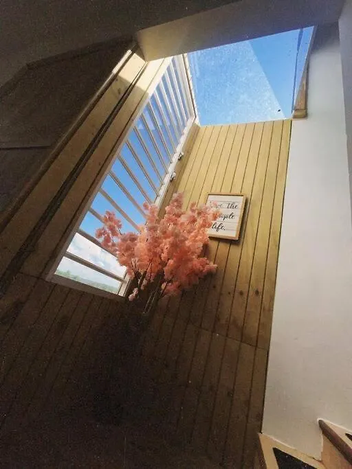 Islote Tribeka Houseヴィラ 別荘